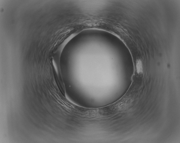 X0000069831444200605221155