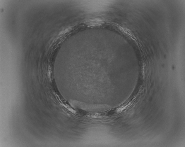 X0000069831445200605221155