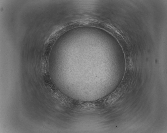 X0000069831446200605221155