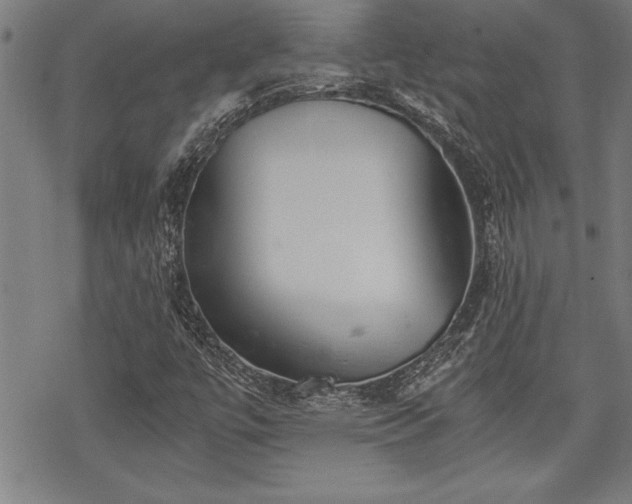 X0000069831447200605221155