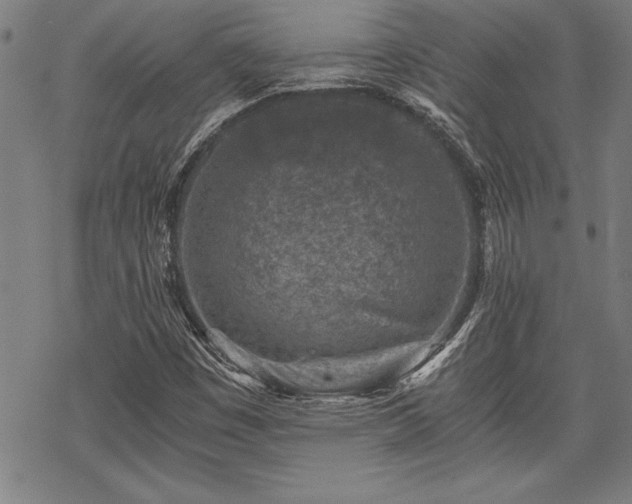 X0000069831449200605221155