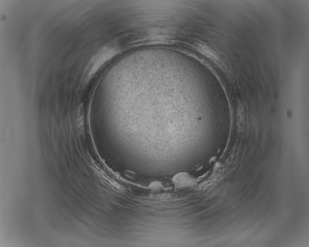 X0000069831450200605221155