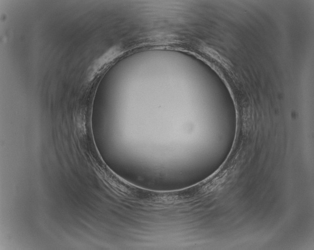 X0000069831451200605221155