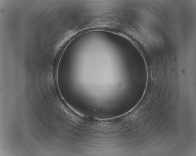 X0000069831452200605221155