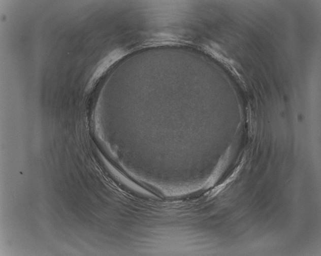 X0000069831453200605221155