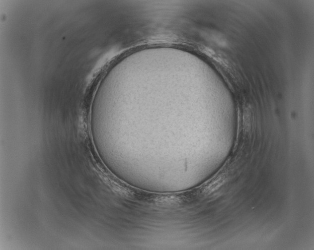 X0000069831454200605221155