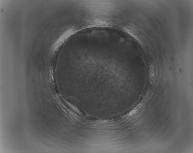 X0000069831455200605221155