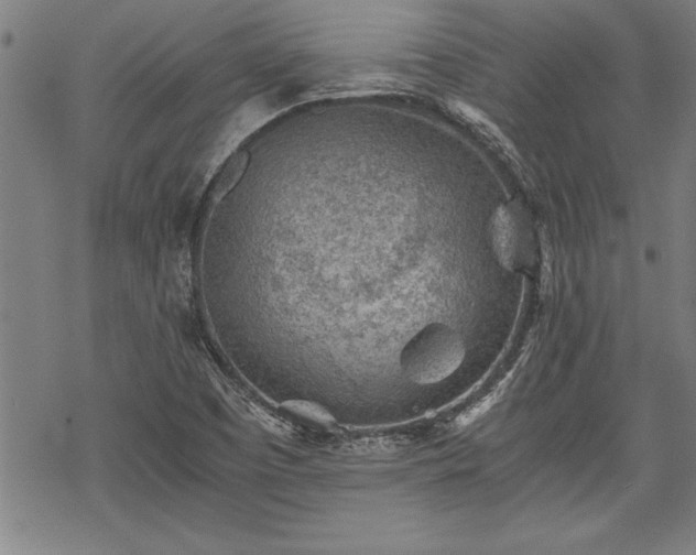 X0000069831457200605221155