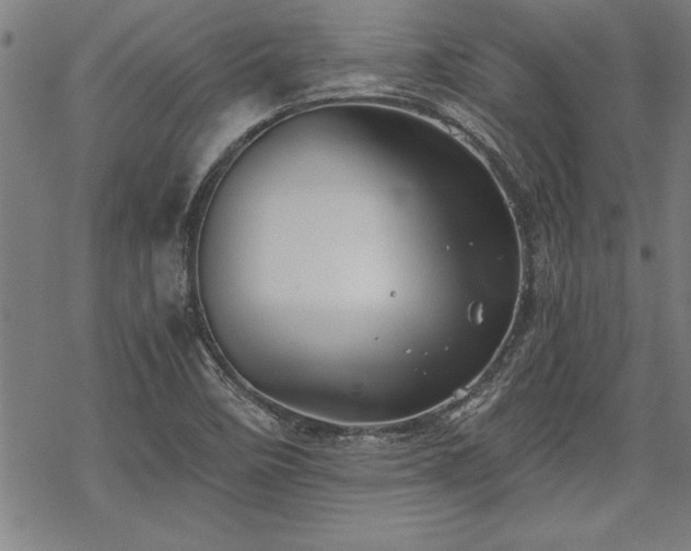 X0000069831458200605221155