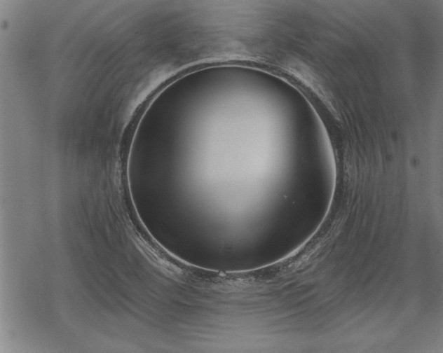 X0000069831460200605221155