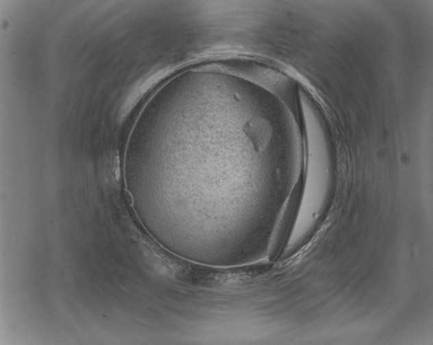 X0000069831461200605221155