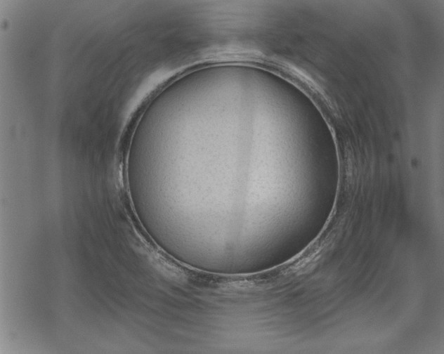 X0000069831462200605221155