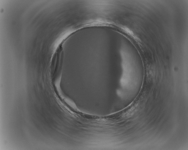 X0000069831463200605221155