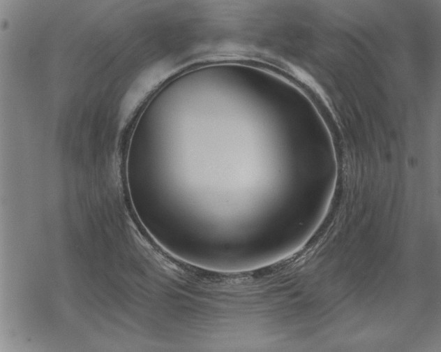 X0000069831464200605221155