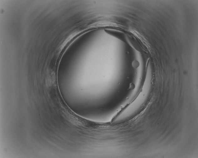 X0000069831465200605221155