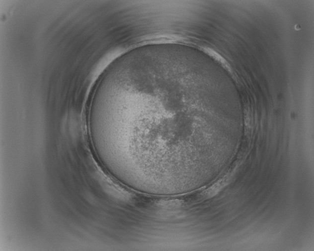 X0000069831466200605221155