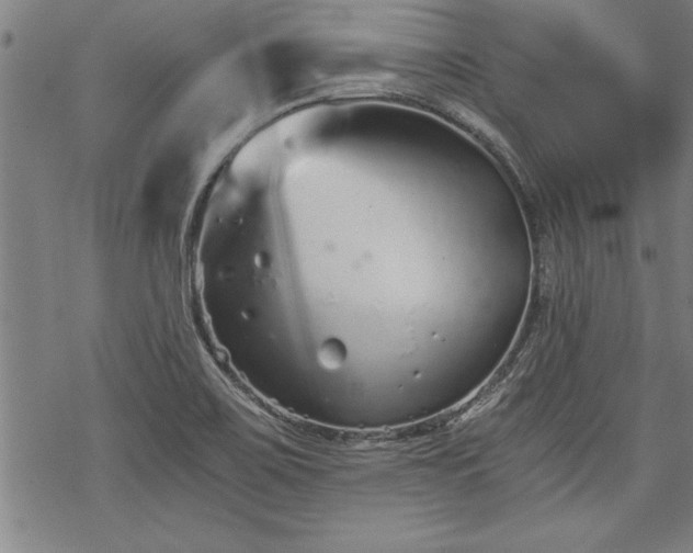 X0000069831467200605221155