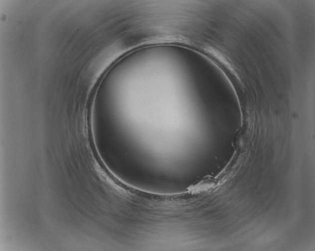 X0000069831468200605221154