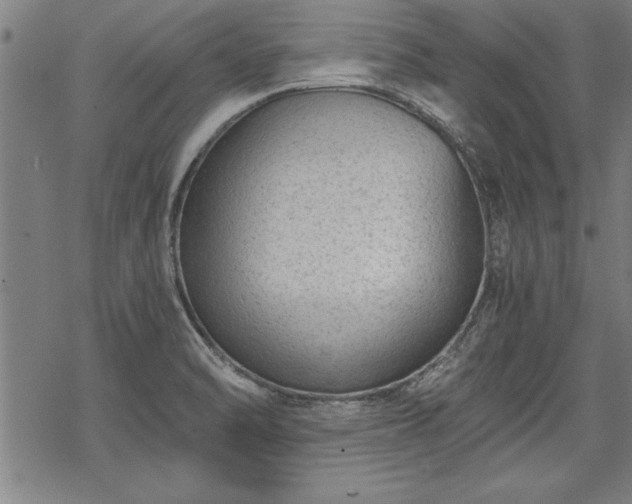 X0000069831470200605221154