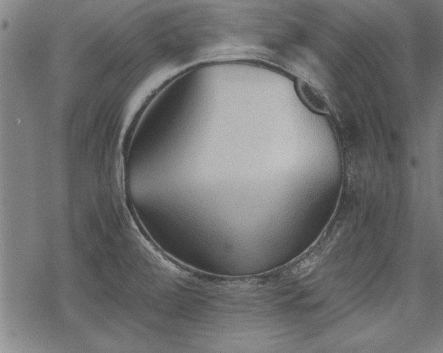 X0000069831472200605221154