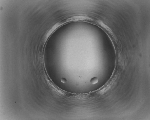 X0000069831473200605221154