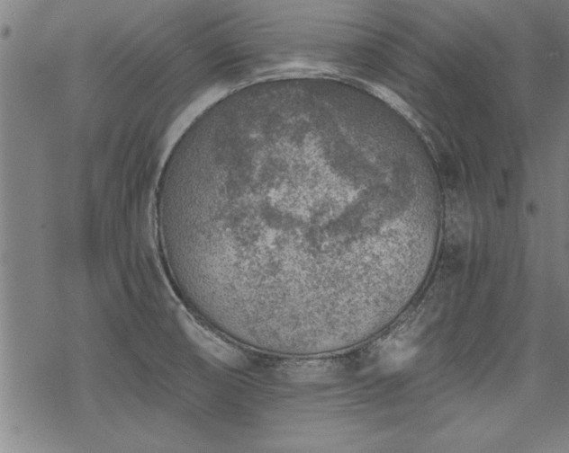 X0000069831474200605221154