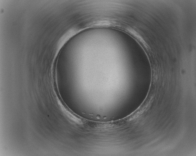 X0000069831475200605221154