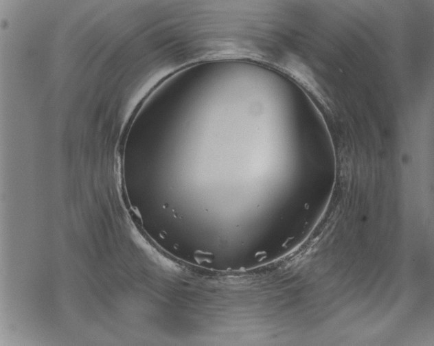 X0000069831476200605221154