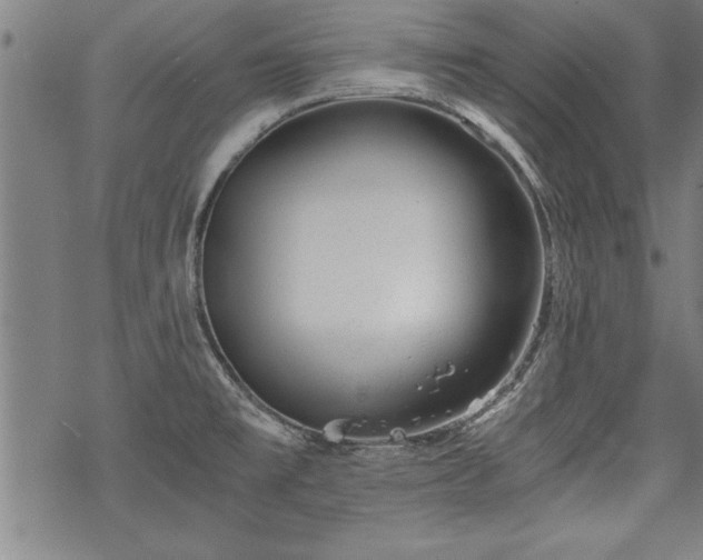 X0000069831477200605221154