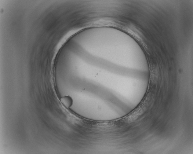 X0000069831478200605221154