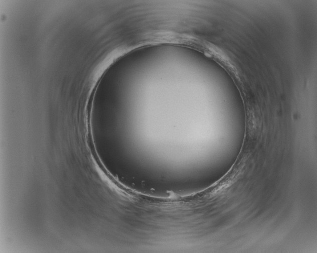 X0000069831479200605221154