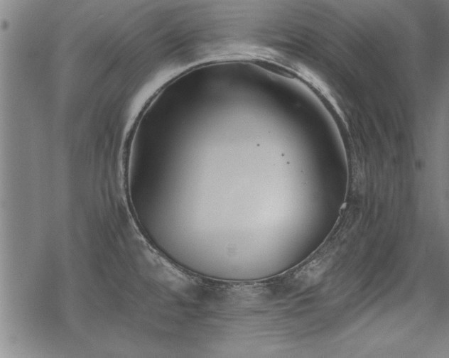 X0000069831480200605221154