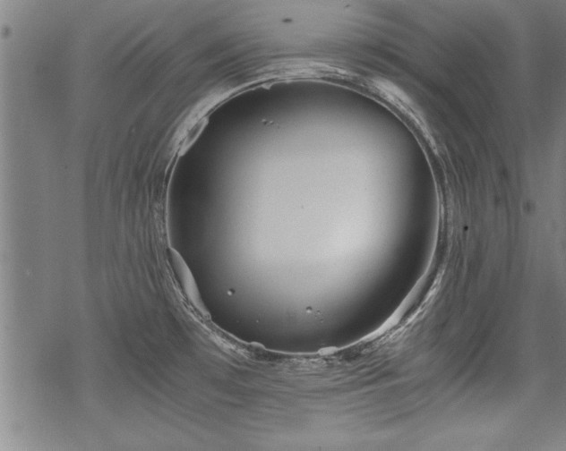 X0000069831481200605221154