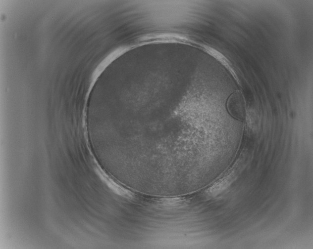 X0000069831482200605221154