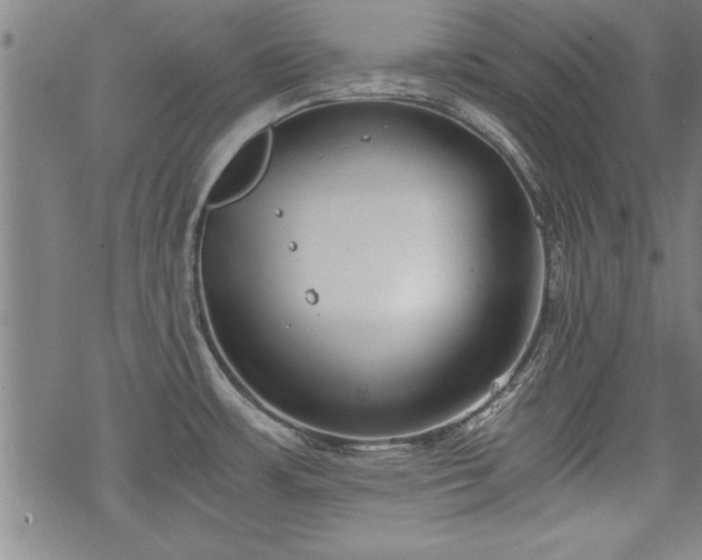 X0000069831483200605221154