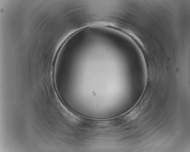 X0000069831484200605221154