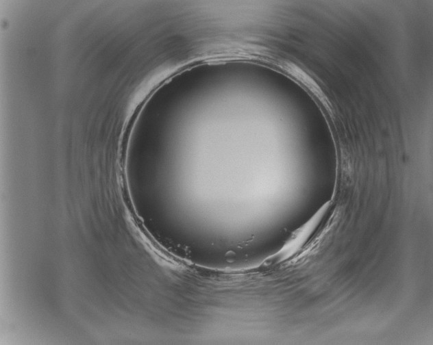 X0000069831485200605221154