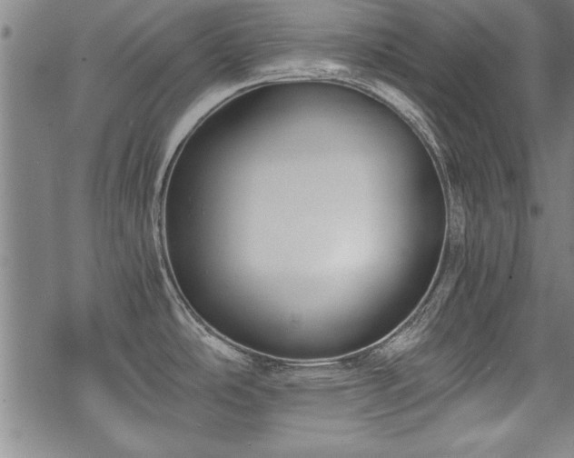 X0000069831486200605221154