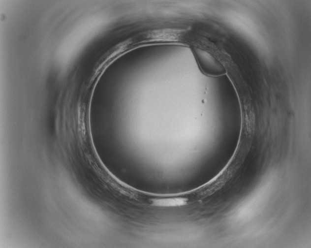 X0000069831487200605221154