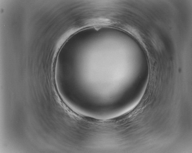 X0000069831488200605221154