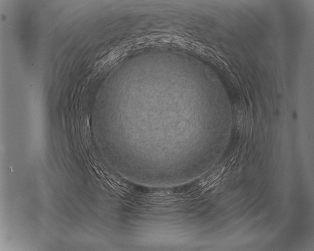 X0000069831489200605221153