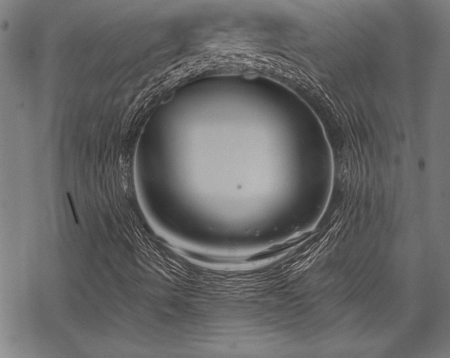 X0000069831490200605221153