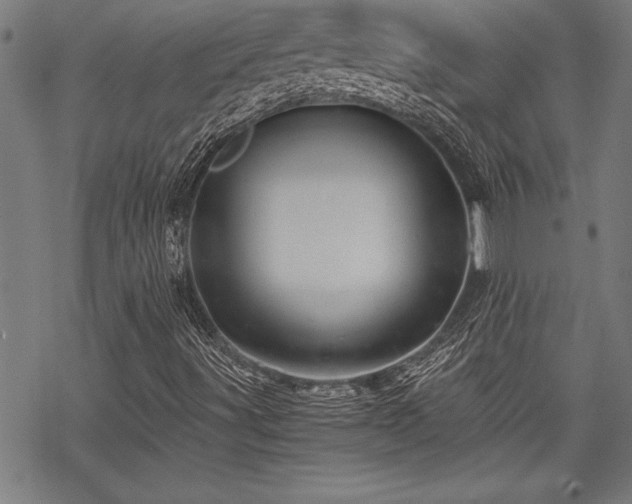 X0000069831491200605221153