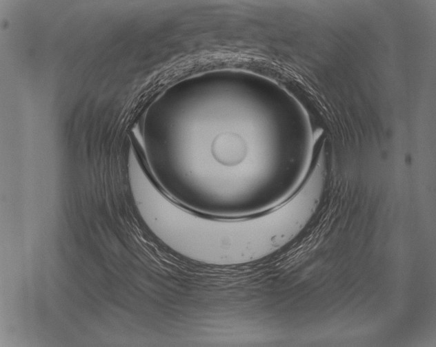 X0000069831492200605221153