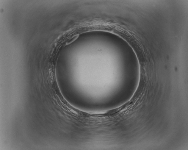 X0000069831493200605221153