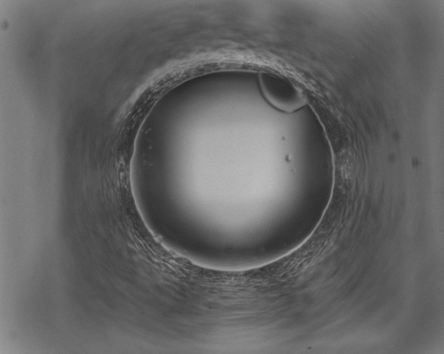 X0000069831495200605221153