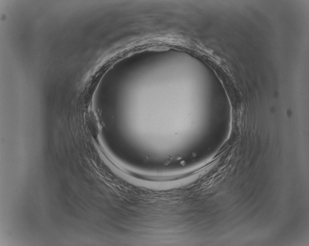 X0000069831496200605221154