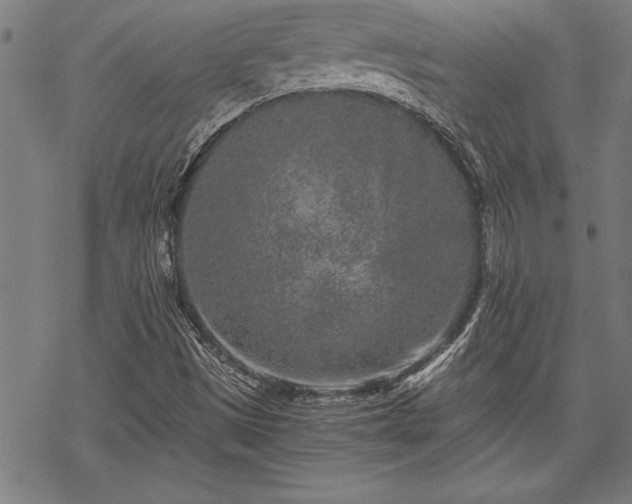 X0000069831497200605221154