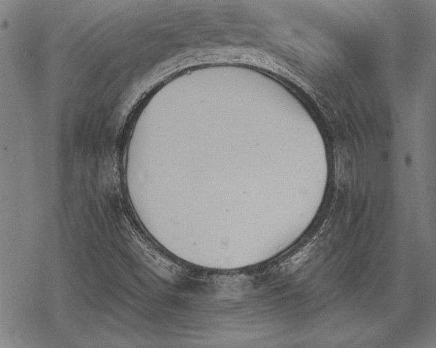 X0000069831498200605221154