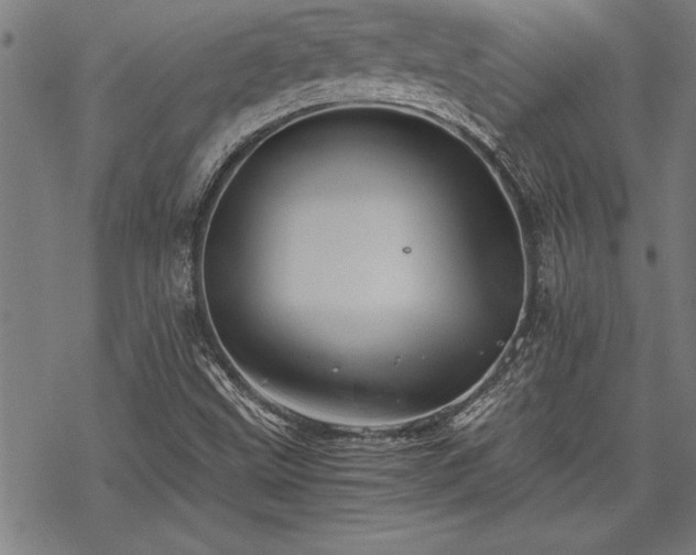 X0000069831499200605221154